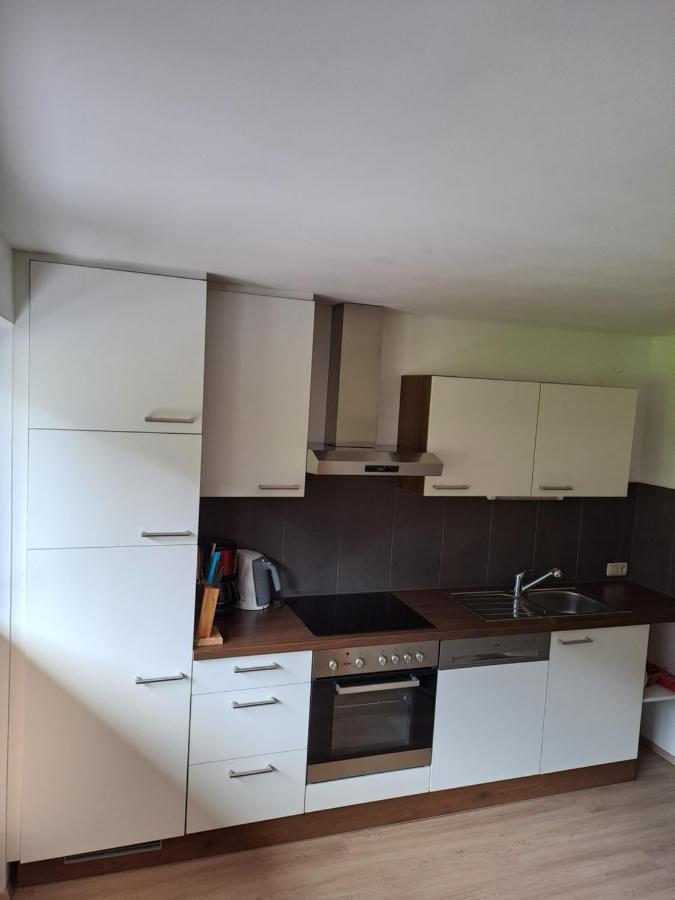 Apartamento Haus Florian Mayrhofen Exterior foto